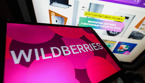 半年销售额飙升893 Wildberries推出电子产品和家用电器新销售模式